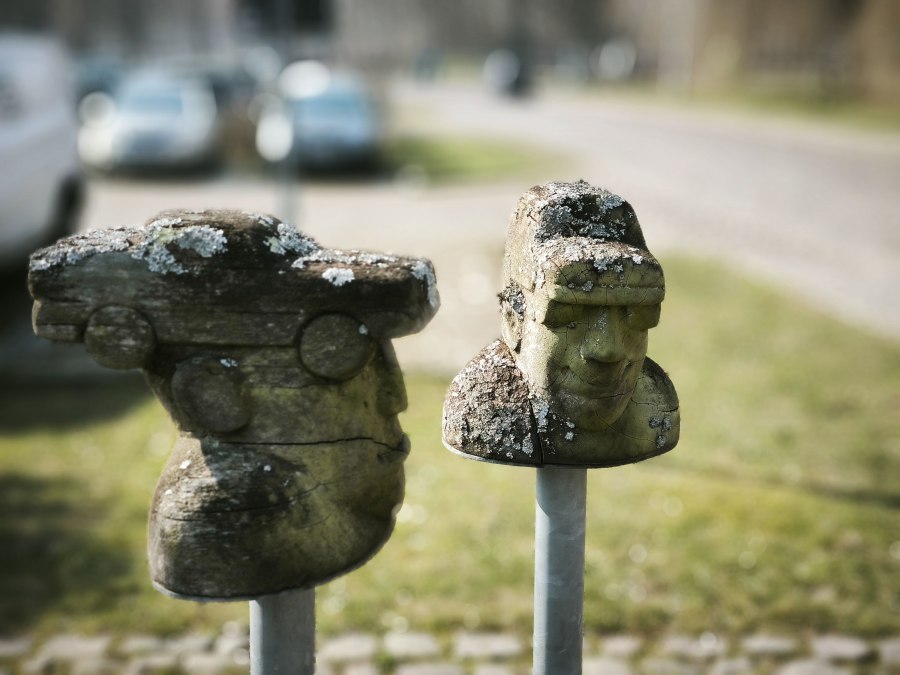 1741605239362, © Jana Koch 1741605239362, © Jana Koch