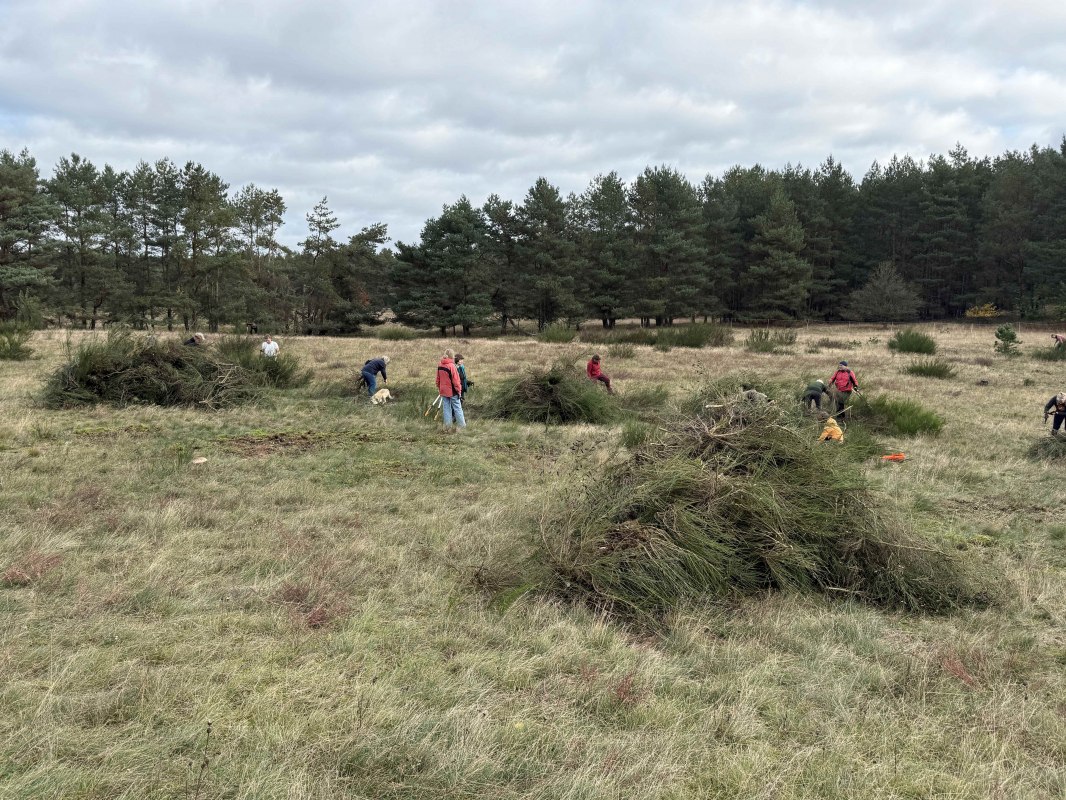 Working Together to Protect the Dry Grasslands // © STUN.M-V Working Together to Protect the Dry Grasslands // © STUN.M-V