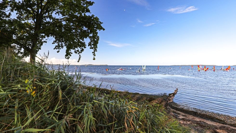 Surfspot Pepelow, © TMV, Danny Gohlke Surfspot Pepelow, © TMV, Danny Gohlke