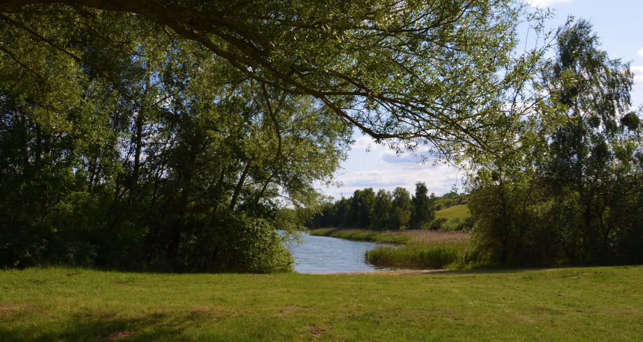 Kąpielisko na p&oacute;łnocnym brzegu jeziora Cantnitz 4, &copy; Martin M&ouml;ller