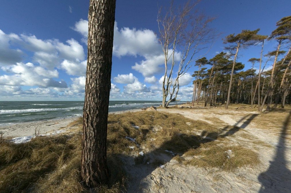 Zachodnia plaża, © TV FDZ