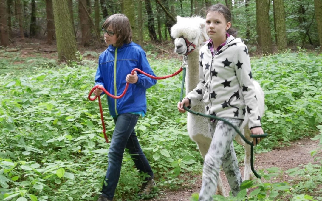 Kinderen beleven de natuur met de alpaca's., © Lena Marie Hahn