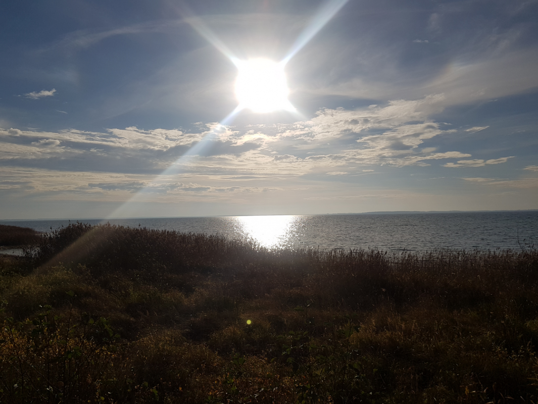 &copy; Waren (M&uuml;ritz) Information