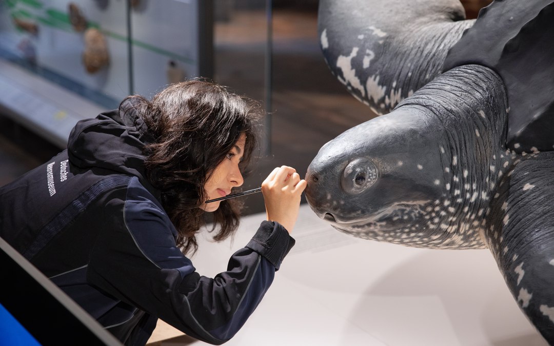 © Anke Neumeister/Deutsches Meeresmuseum