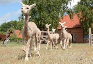 © Tourismusverband Mecklenburg-Schwerin © Tourismusverband Mecklenburg-Schwerin