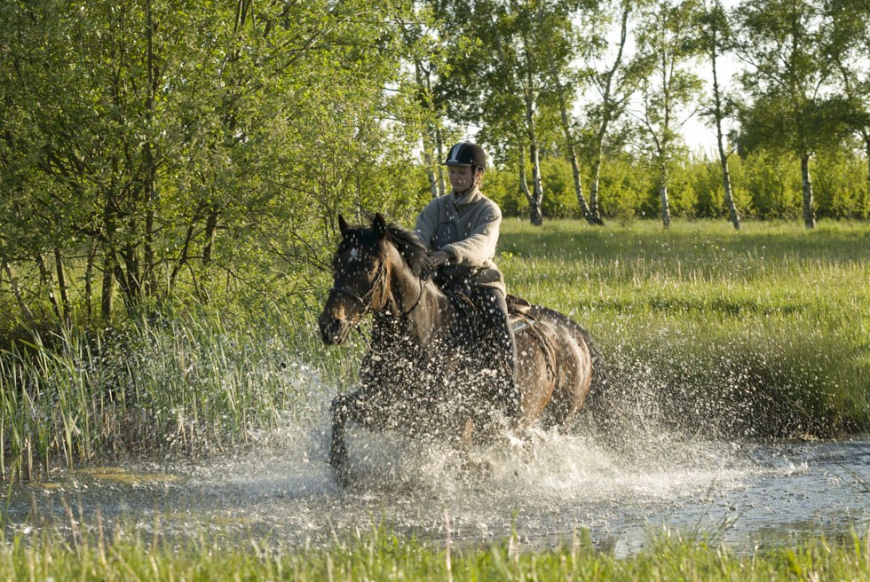 Tijdens haar dagtocht steekt de ruiter een vijver over langs het pad, © TMV/ Hafemann
