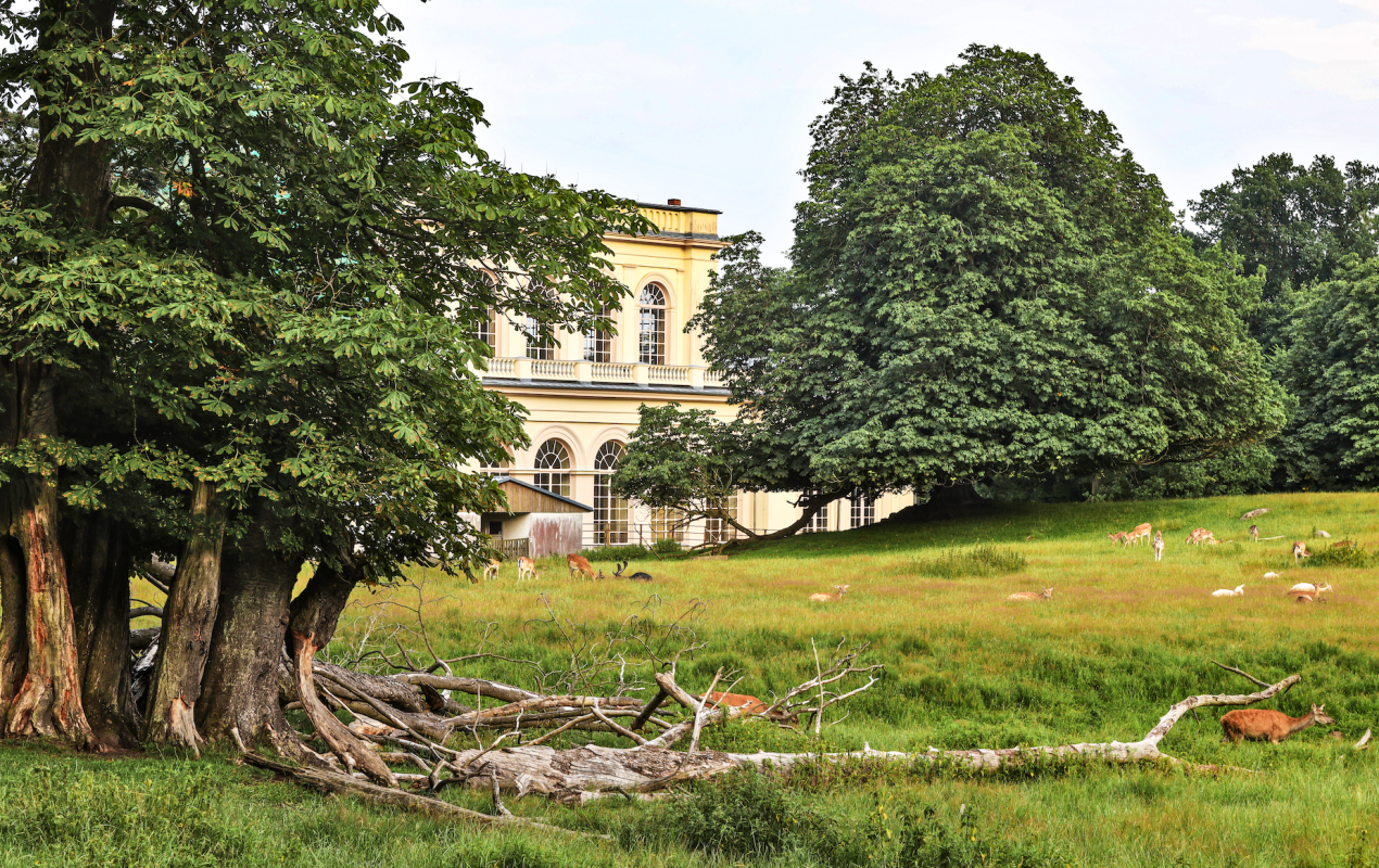 © TMV/Gohlke © TMV/Gohlke