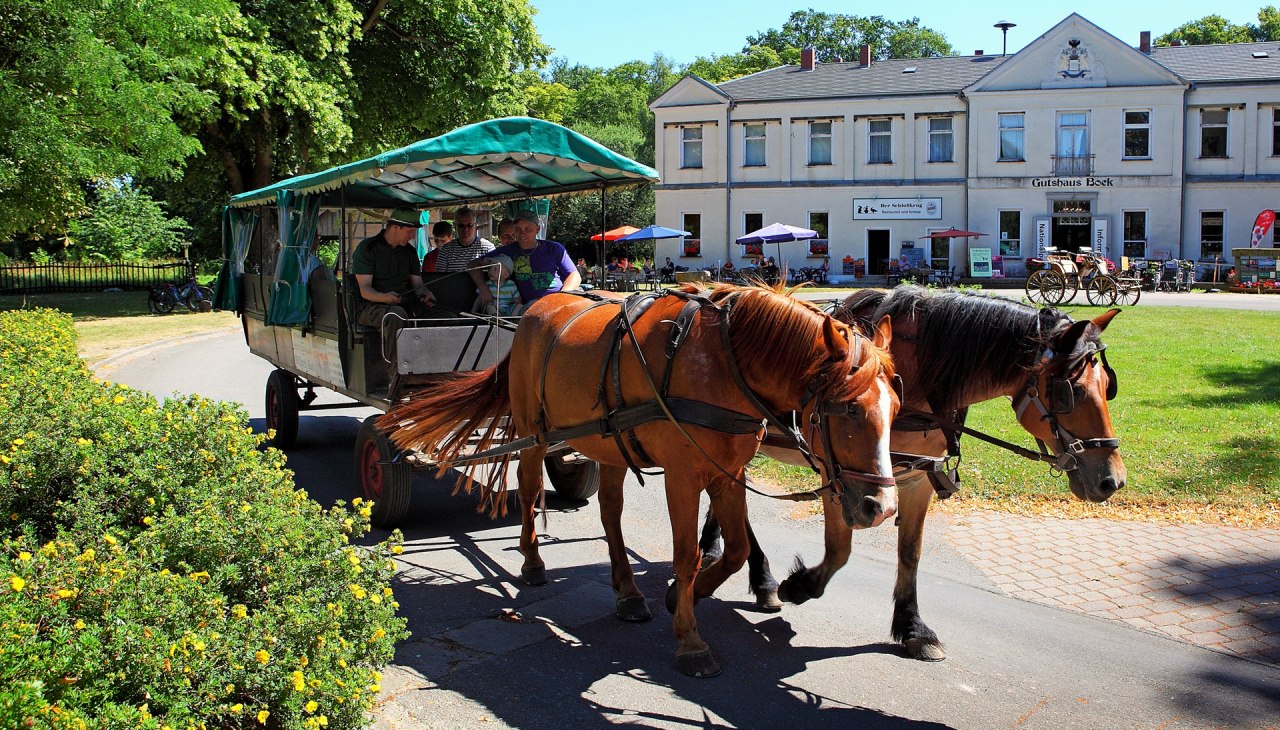 Boek Wildlife Park, &copy; TDG Rechlin