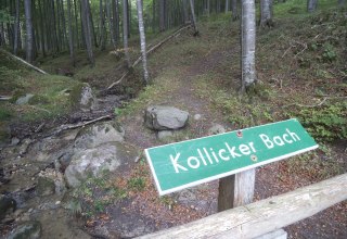 Kollicker Bach im Nationalpark Jasmund // © Tourismuszentrale Rügen Kollicker Bach im Nationalpark Jasmund // © Tourismuszentrale Rügen
