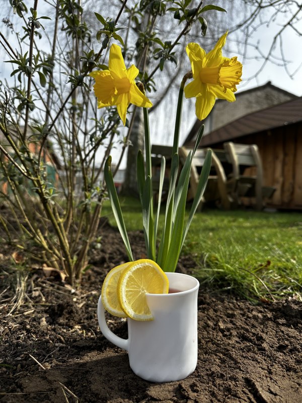 Women's Day with the Bernstein Riders, &copy; de