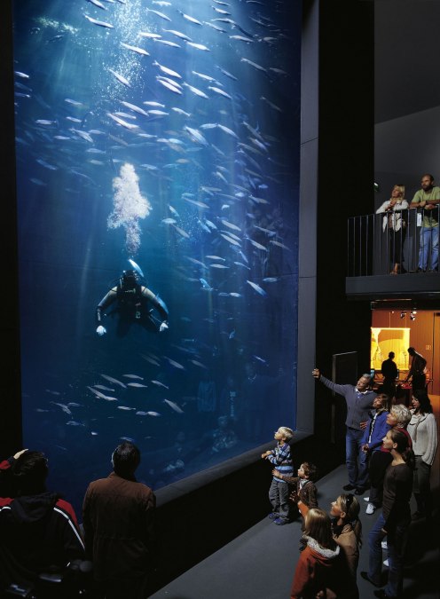 aquarium_1287408943_1, © AndeasDuerst/Werk3