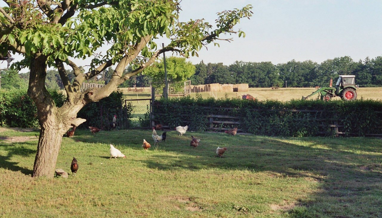 Farm - still just like grandma's times, &copy; Bernd Friedrich