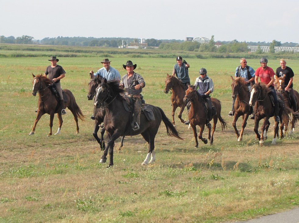 Nasze przejażdżki prowadzą obok klifów, przez łąki, a poza sezonem na plażę., © Juliana Völkner Nasze przejażdżki prowadzą obok klifów, przez łąki, a poza sezonem na plażę., © Juliana Völkner