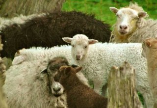 &copy; Maibritt Olsen