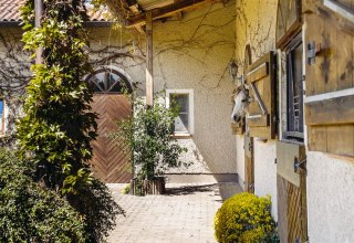 Horse in its box // &copy; Bombis