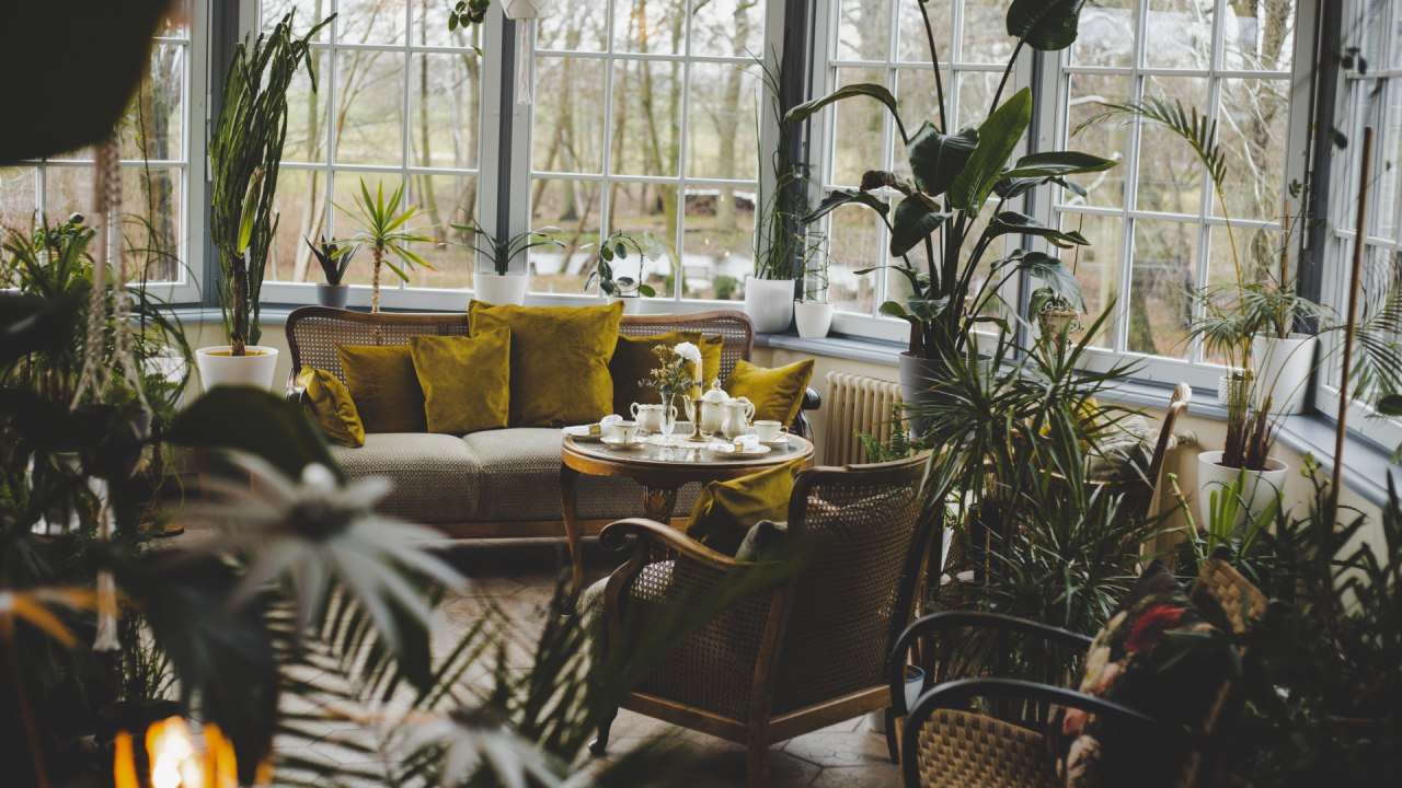 The jewel in the Viecheln manor house is the conservatory // © Till Kleine-Möller The jewel in the Viecheln manor house is the conservatory // © Till Kleine-Möller