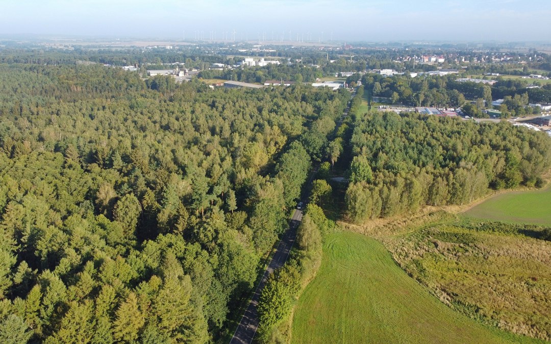 Uitzicht op Bützow, © Landesforst MV