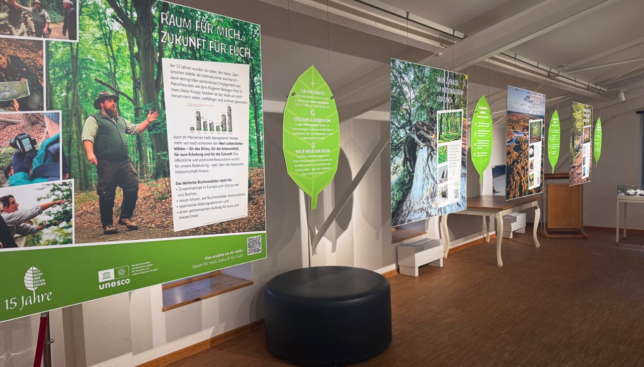 f6e34cd8-530a-4a05-91e6-9a629486d7f8, © Nationalpark-Zentrum KÖNIGSSTUHL f6e34cd8-530a-4a05-91e6-9a629486d7f8, © Nationalpark-Zentrum KÖNIGSSTUHL