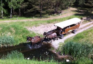 Spannend kann sie sein, die Fahrt. gehen die Tiere durch&acute;s Wasser? // &copy; Reit- und Fahrtourstik Lychen