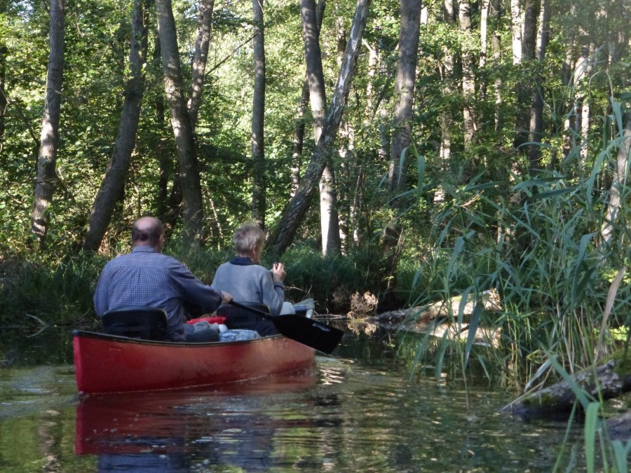 Paddling Mildenitz jungle, © Kanucamp Borkow Paddling Mildenitz jungle, © Kanucamp Borkow