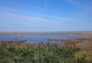 Widok z platformy widokowej nad jeziorem Fukarek // &copy; UB