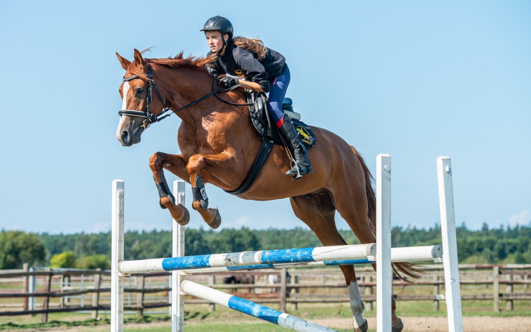 amber ruiter verkoop2018_boriskownatzki_061, © bernsteinreiter