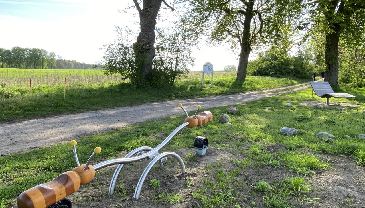Tijd om te spelen op het bijennatuurpad in het Land Fleesensee, © KUTGL/Muster Tijd om te spelen op het bijennatuurpad in het Land Fleesensee, © KUTGL/Muster