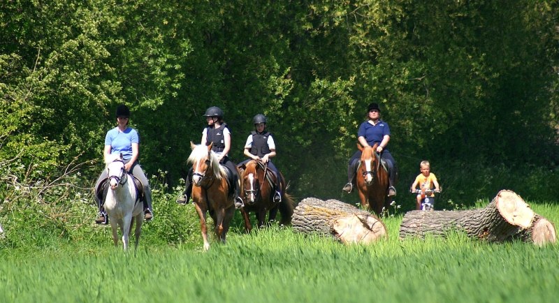 On the sunny island of Usedom at the Jaddatz farm experience his riding vacation // &copy; Hof Jaddatz/ Madlen Hamfler-Jaddatz