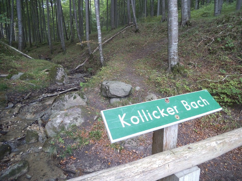 Kollicker Bach in Jasmund National Park // © Tourismuszentrale Rügen Kollicker Bach in Jasmund National Park // © Tourismuszentrale Rügen