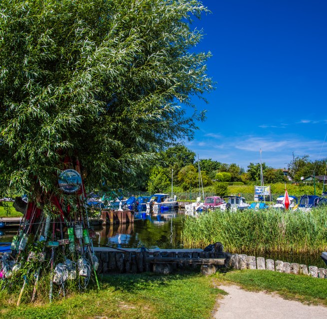 &copy; 20240807-IMG_2598.jpg