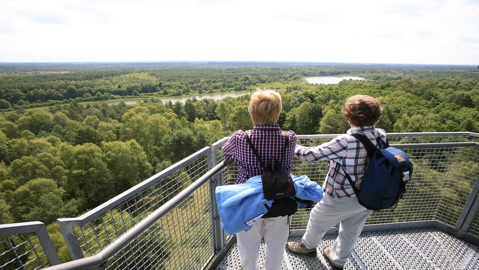 Geweldig uitzicht op het Müritz Nationalpark vanaf de Käflingsbergtoren, © Tourismusverband Mecklenburgische Seenplatte e.V./Frischmut