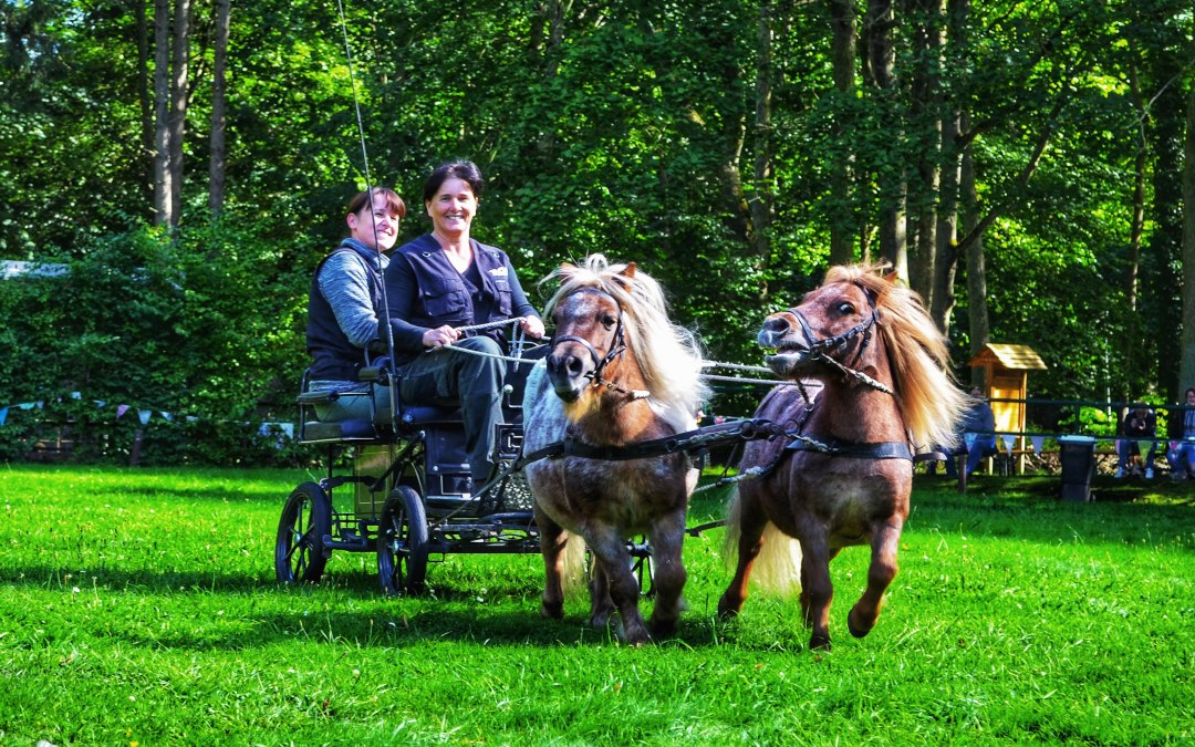 _Paardendag, © Hansestadt Stralsund