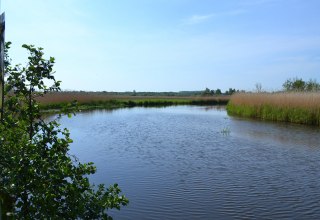Uitzicht op de Recknitz, © Lutz Werner