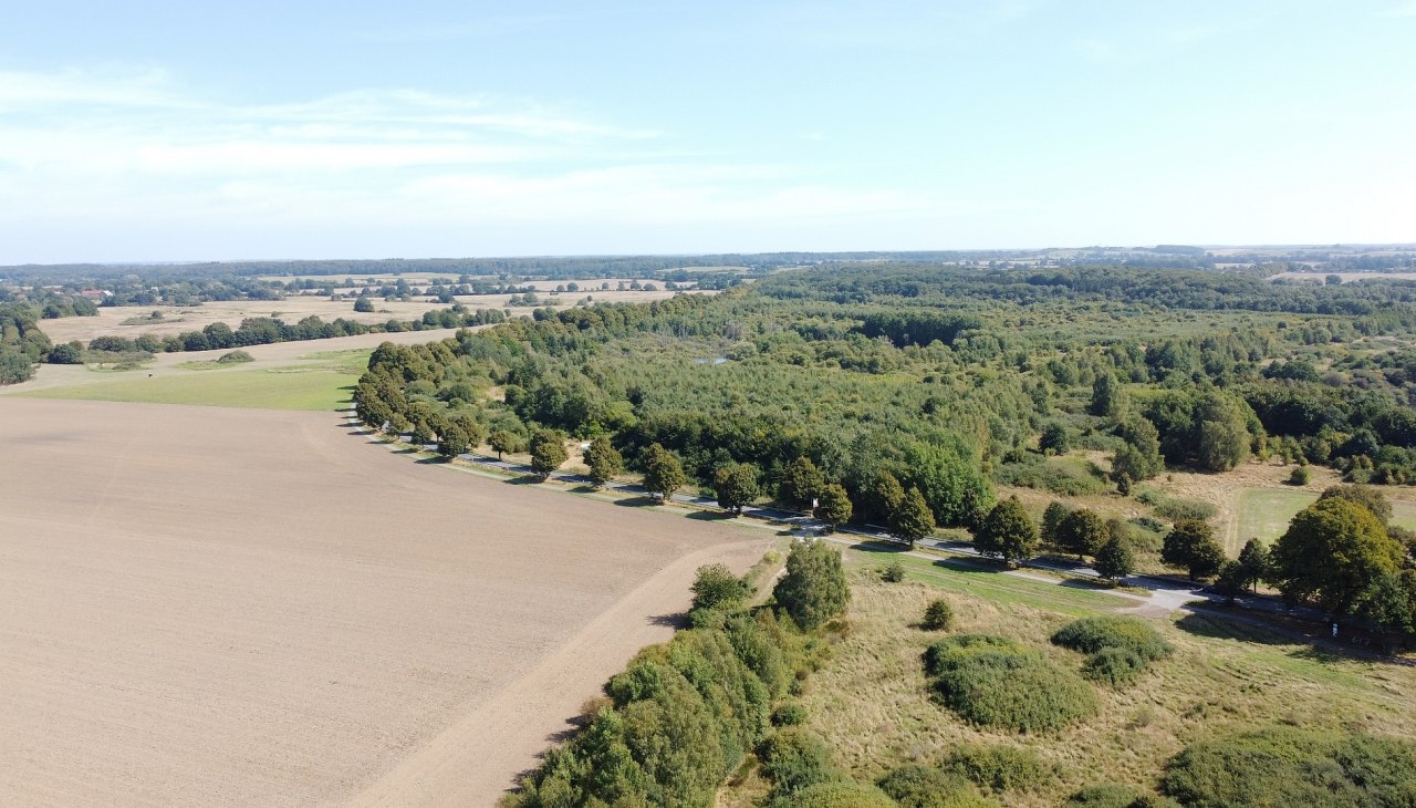 Klimatyczny leśny rezerwat biosfery Schaalsee, © Landesforst MV