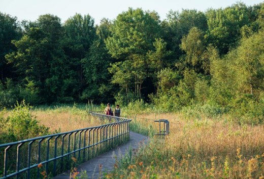 Het Natuurparkpad loopt over een afstand van meer dan 800 kilometer door zeven natuurparken en een nationaal park in Mecklenburg-Vorpommern., © TMV/Gänsicke
