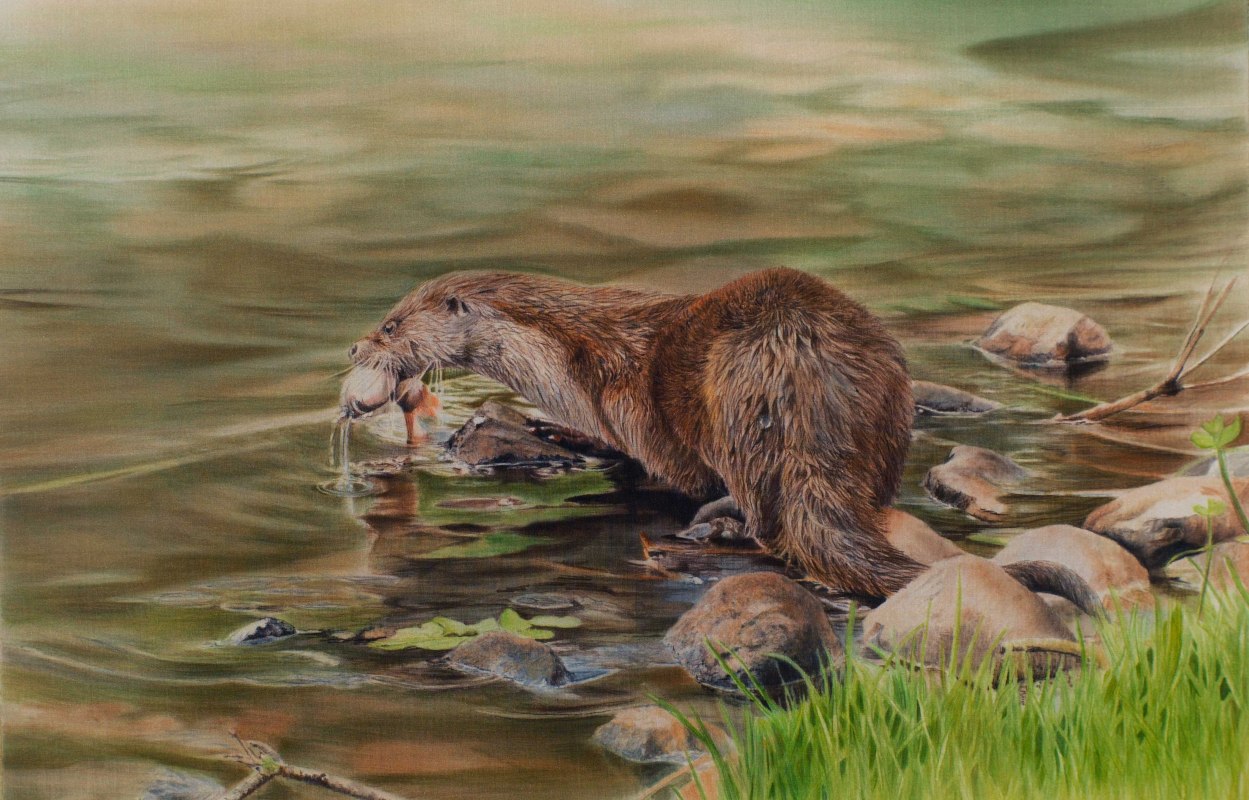 otter // © Ute Barteils otter // © Ute Barteils
