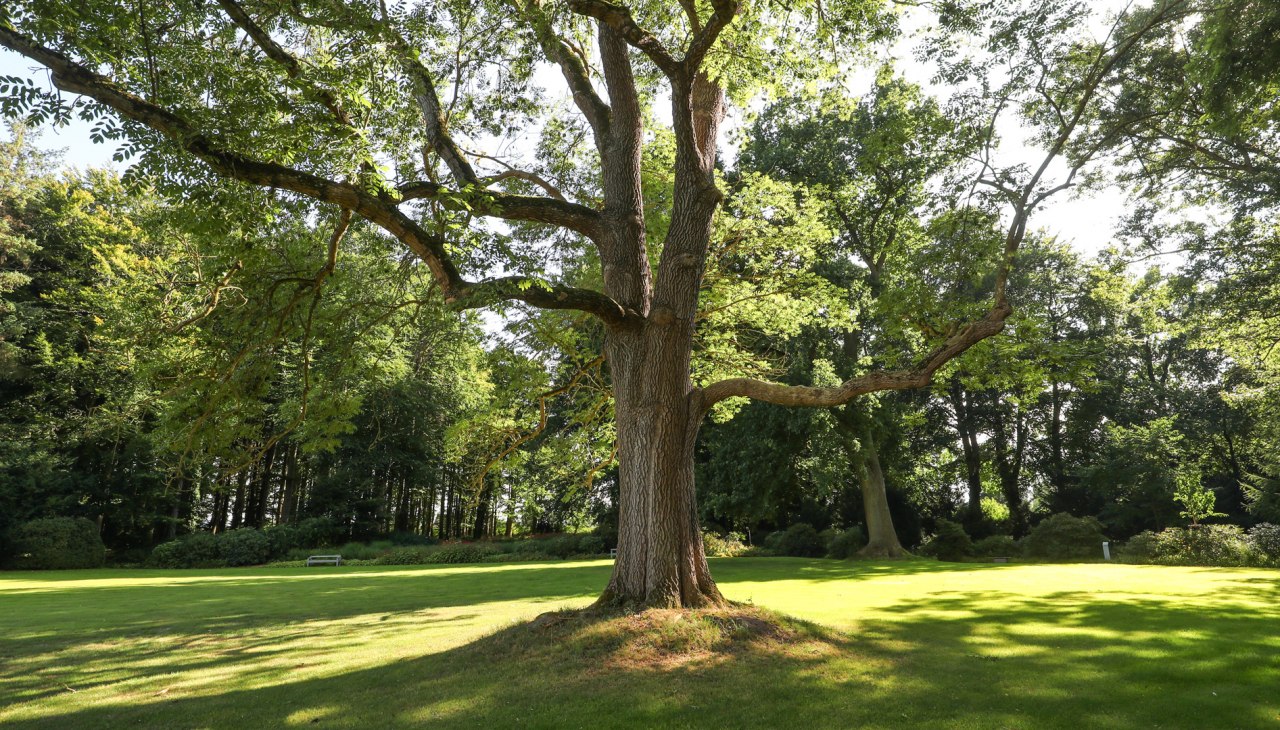 Landgoed Landsdorf park en landhuis_1, &copy; TMV/Gohlke