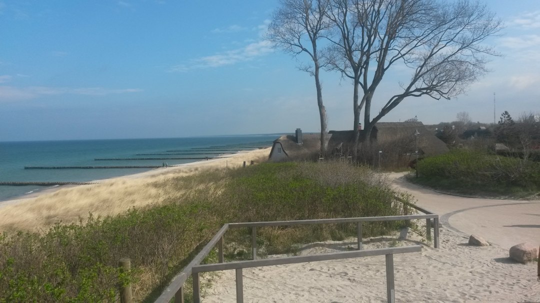 Półdniowa wycieczka Fischland-Darß-Zingst, © Jan Dzarnowski