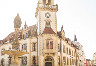 © Daniel Stohl © Daniel Stohl