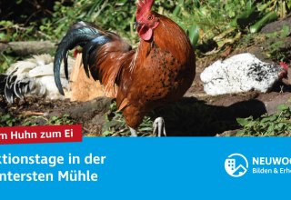 © Neuwoges © Neuwoges