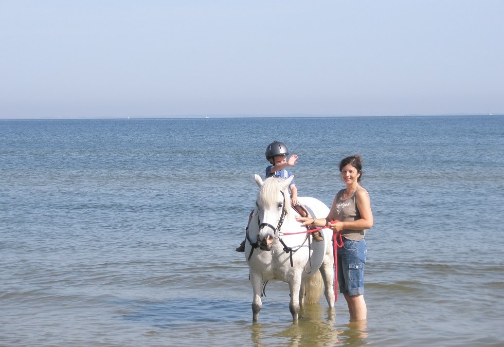 Strandritten voor iedereen die nog niet stevig in het zadel zit, © Pferdesport Brauns