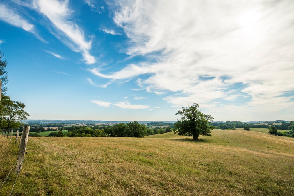 Rötelberg w pobliżu zamku Schlitz, © Christin Drühl Rötelberg w pobliżu zamku Schlitz, © Christin Drühl