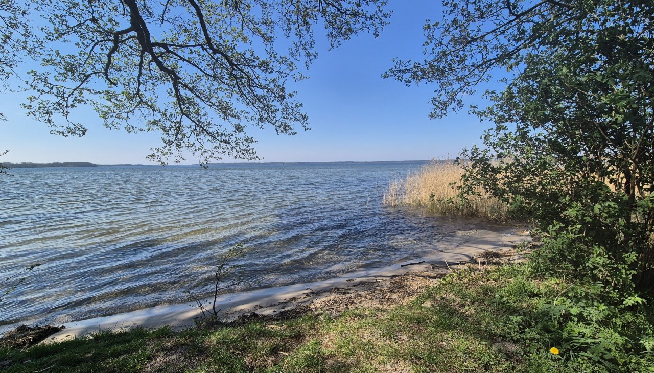 20250420_151032, © Gina Schulenberg 20250420_151032, © Gina Schulenberg