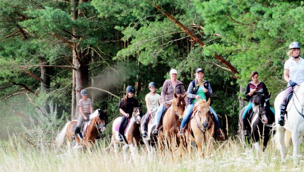 Beleef geweldige ritten door de Lewitz met manege Mühlenberg, © Reitanlage Mühlenberg/ Mario Mühlenberg