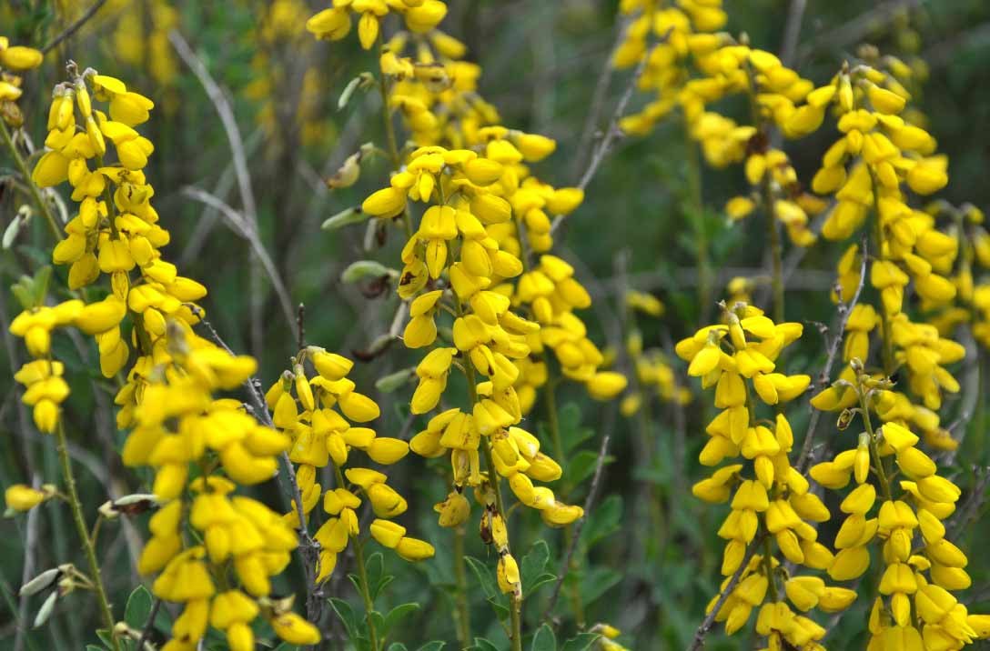 &copy; orestligetka &ndash; stock.adobe.com