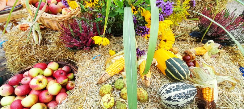 &copy; Stadt Burg Stargard