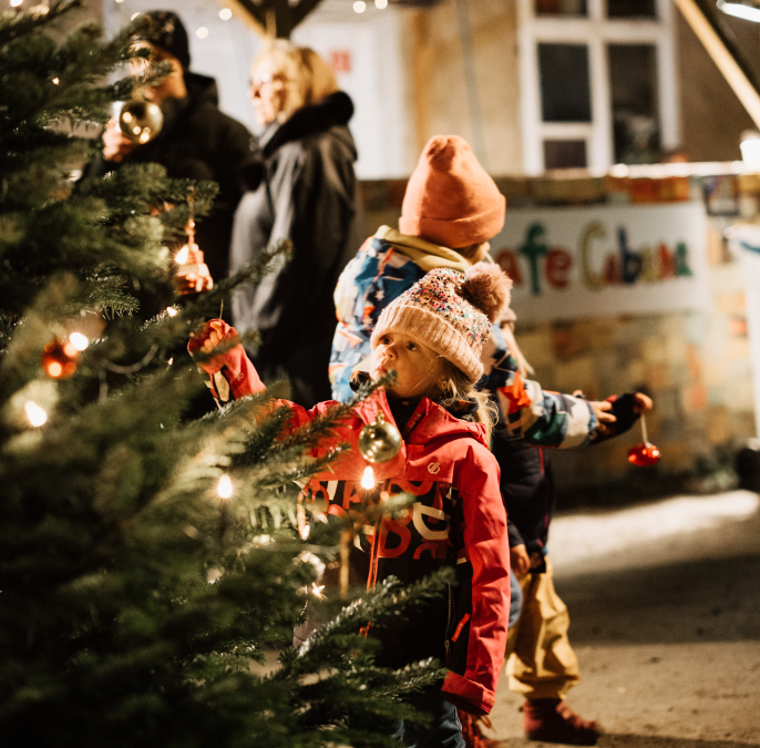 2024-12-12 09_54_24-TheresaLangeFotografie_HOFZAUBER_2024_081.jpg - IrfanView (Zoom_ 698 x 1046), © Stadt Neustrelitz / Theresa Lange
