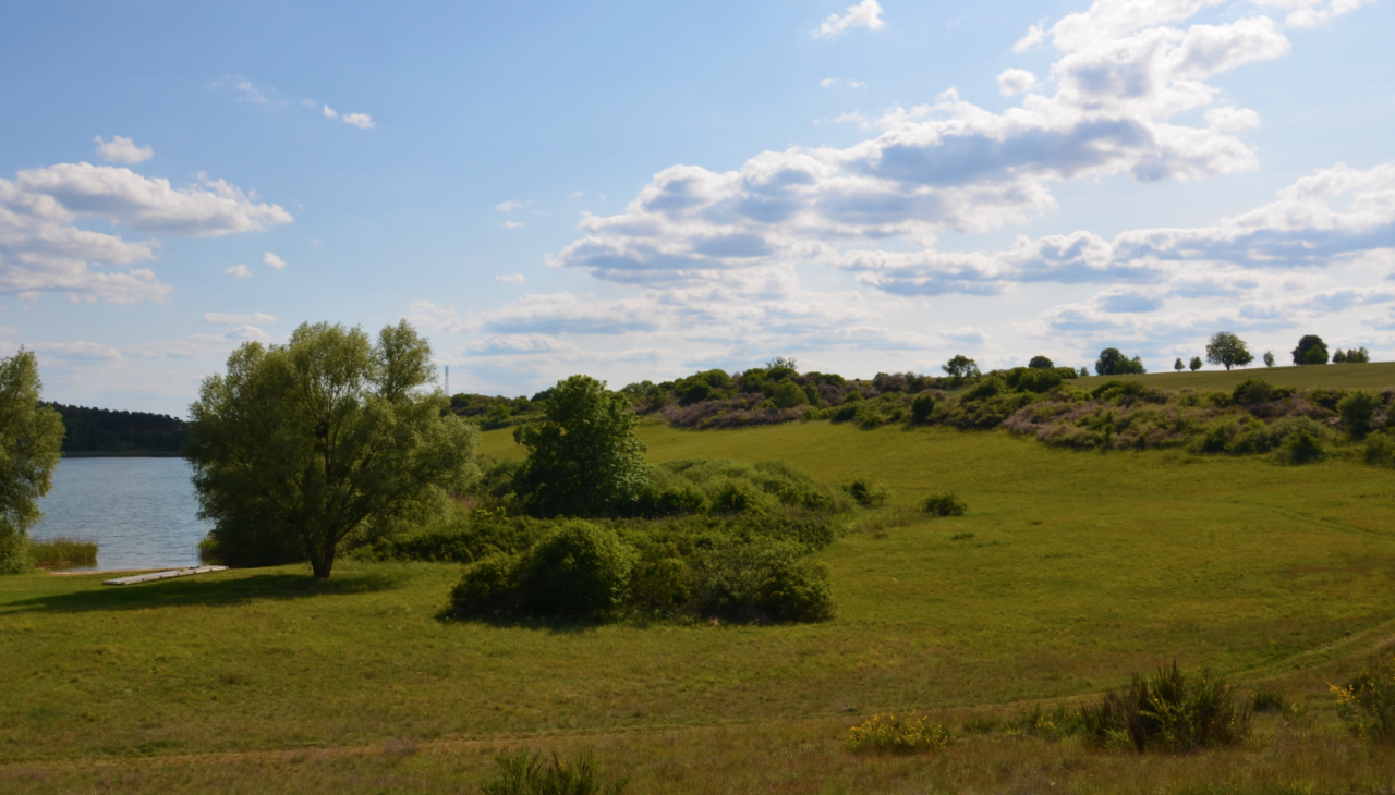Cantnitz meer, badzone noordoever 2, © Martin Möller