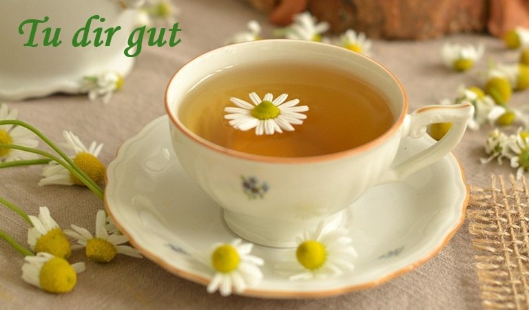 © vortrag_tudirgut.jpg © vortrag_tudirgut.jpg