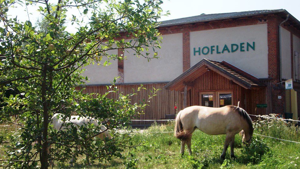 Uitzicht op de Medewege boerderij met boerderijwinkel, boerderijcafé en bakkerij, © Hofladen Medewege/René Zeitz